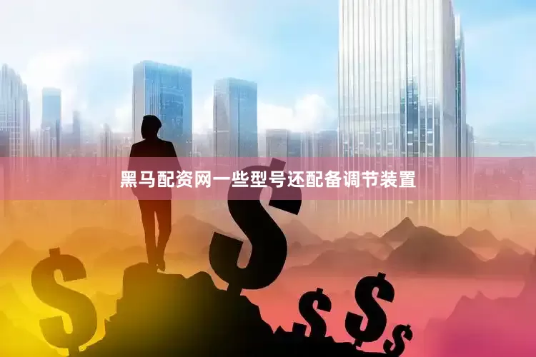 黑马配资网一些型号还配备调节装置