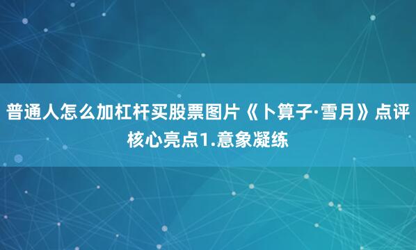 普通人怎么加杠杆买股票图片《卜算子·雪月》点评核心亮点1.意象凝练